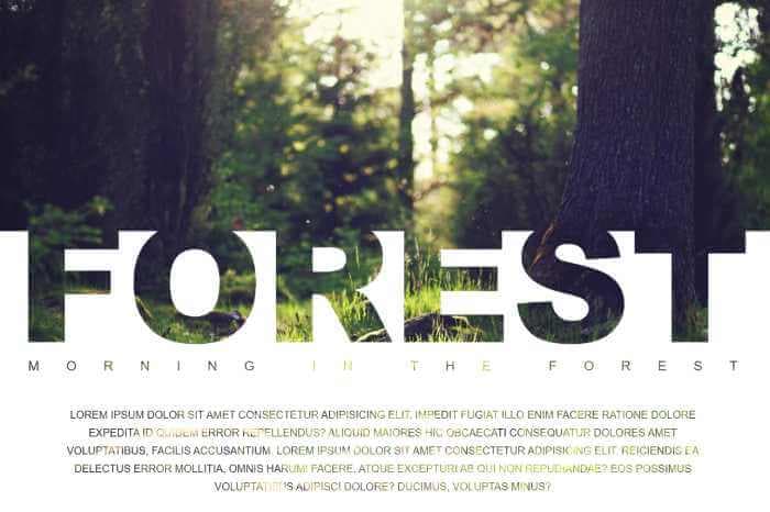 Forest